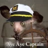 AyeAyeCaptain